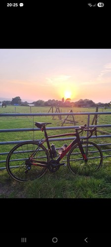 Wilier cento carbon - cento,