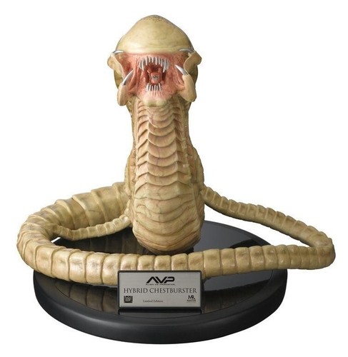 Alien predator sideshow - alien,
