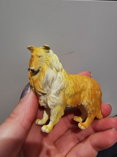 Rough collie dog - collie,