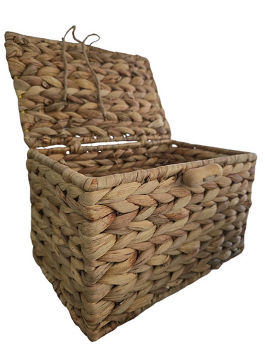 Natural water hyacinth ashes - water,