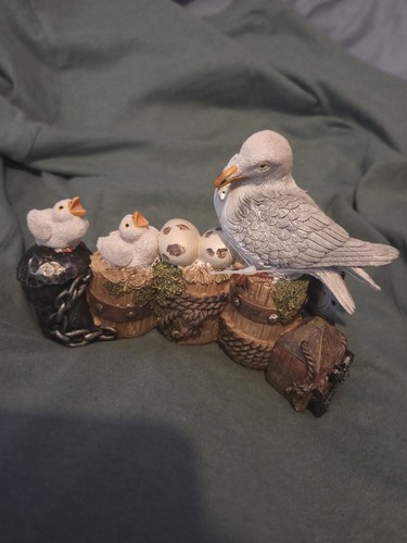 Green sea seagull chicks - seagull, &
