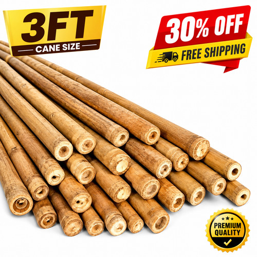 3ft bamboo canes - bamboo,