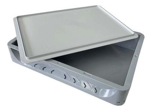 Pizza bread dough proofing - bread,