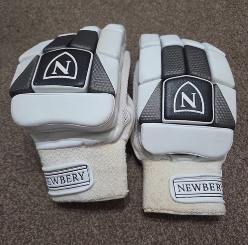 Newbery series batting - newbery, n-series