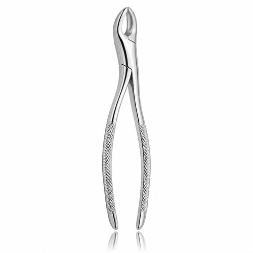 Dental extracting forceps 16cm - dental,
