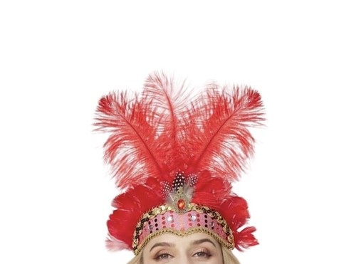 Carnival feather headpiece - carnival,