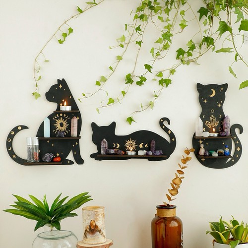 Pack cat display - pack, black