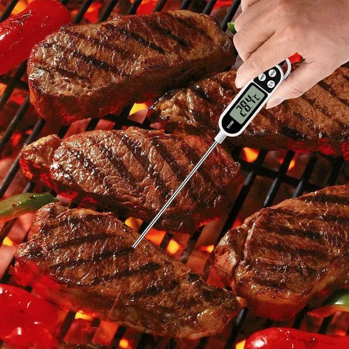 Digital meat food temperature - food,