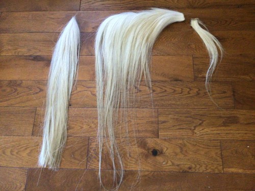 Large mane tail set on - set, the