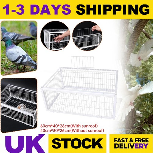 Pigeon trap cage single - cage, way