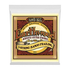 Ernie Ball Earthwood 80/20