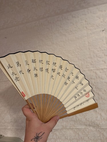 Chinese folding hand fan - hand,