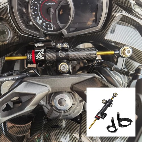 Ninja 650 steering stabilize - ninja-650,
