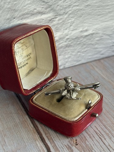 Vintage scottish thistle - vintage,