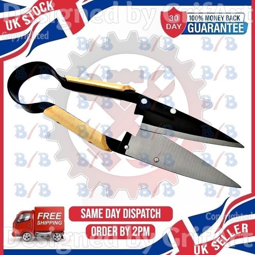 Grass trimming shears one - grass,