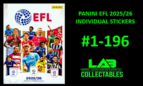 Panini efl sticker collection - efl,