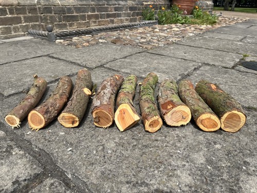 Yew wood logs for - for,