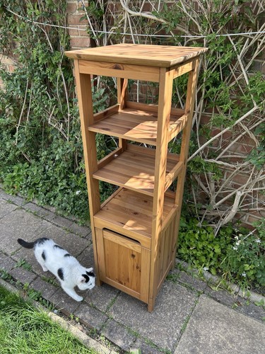 Pine wood display - pine,