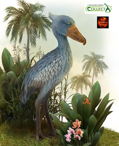 Shoebill african stork bird - african,