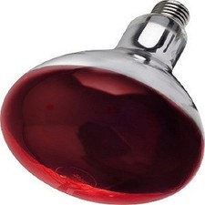 INFA-RED HEAT LAMP BULB FOR POULTRY,BROODER CHICKS PUPPIES PIGS LIVESTOCK 250w