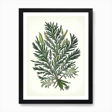 Rosemary Leaf Vintage