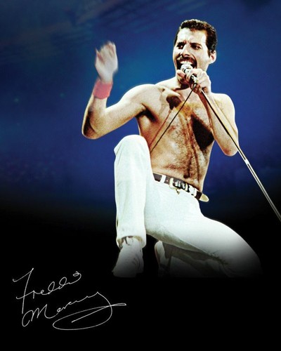Freddie mercury queen - freddie,