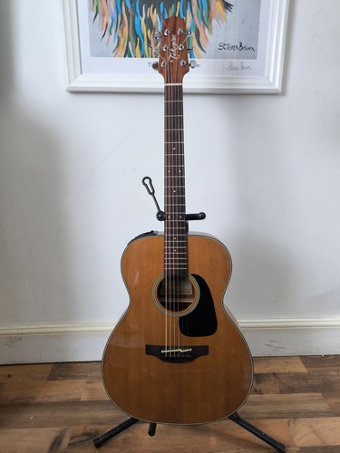 Takamine p1m pro series - takamine,