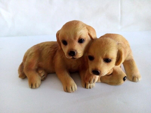 Dog royal osborne puppy - dog,