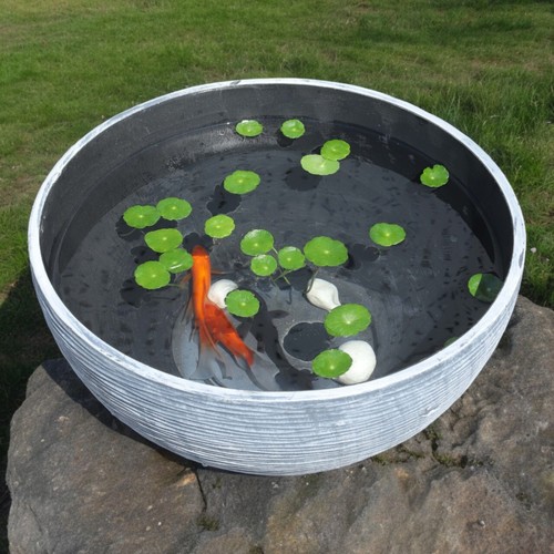 Water plant pot - or, bowl