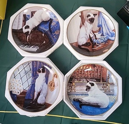 Siamese cats collectors - siamese,
