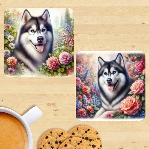 Siberian husky coasters - husky,