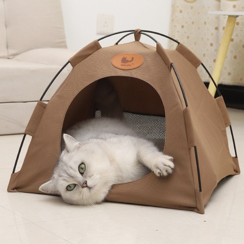 Pet tent cat puppy play - puppy,