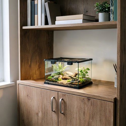 Glass reptile terrarium - glass, insect