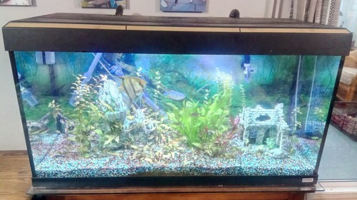 Fluval roma 200l aquarium - roma,