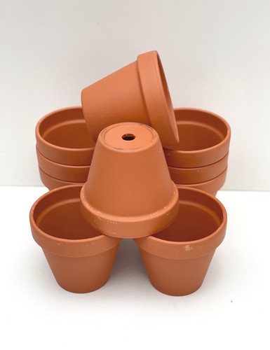 Traditional terracotta plant - traditional,