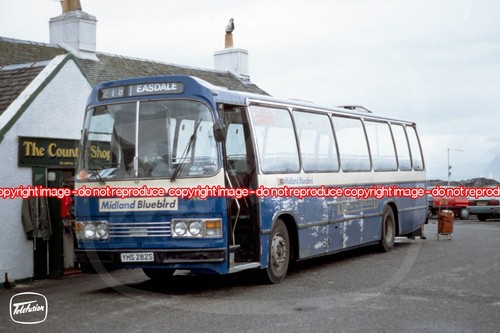 Bus photo midland - bus,