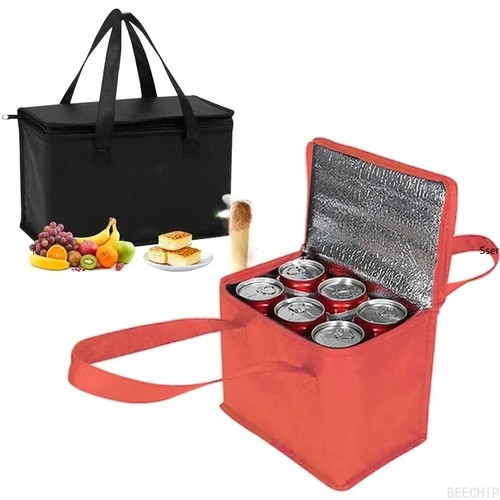 Portable insulated cooler - insulated, bag