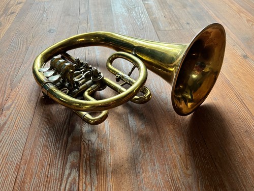 Cow horn flugelhorn - horn,