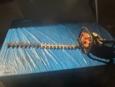 Stihl HS80 Petrol Hedge