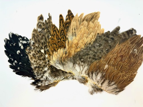 Grade hen saddles - grade, saddles,soft