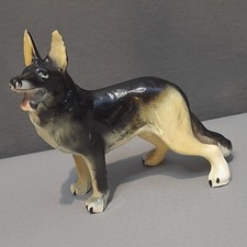 German Shepherd Dog Alsatian