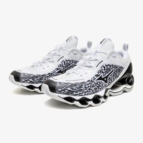 Mizuno wave prophecy 2 - mizuno,