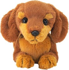 Sun Lemon Knee Dog Miniature