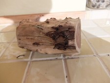 English Yew Log Timber For