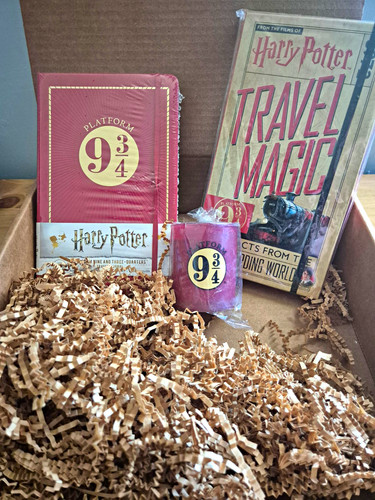 Harry potter platform 4 - potter, 3/4