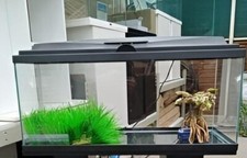 Large Aquarium Black Fish Tank 80cm, 74 Litre, Led Light, Filter, Heater & More