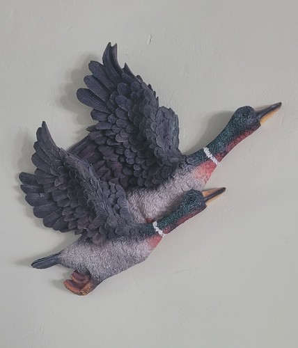 Resin flying duck wall - wall, decor