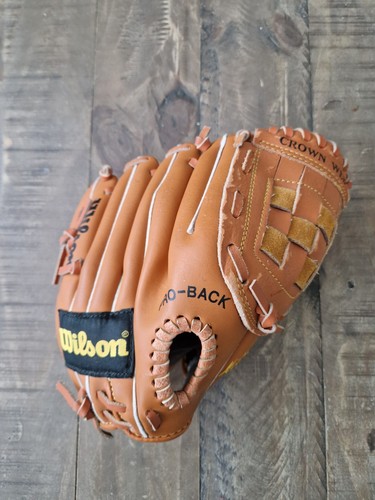 Wilson kirby puckett advisory - wilson,