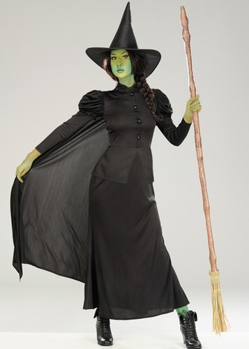 Adult size womens elphaba - womens,