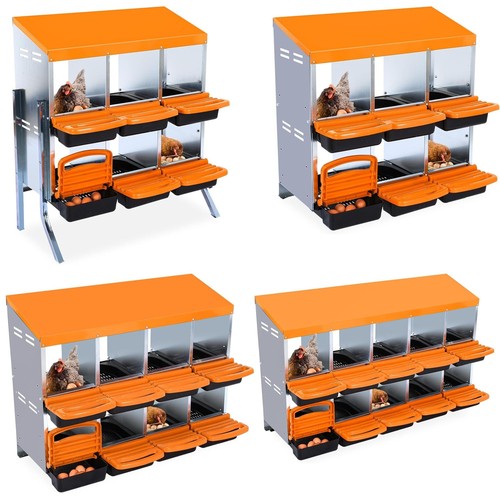 Compartment chicken - 6/8/10-compartment,